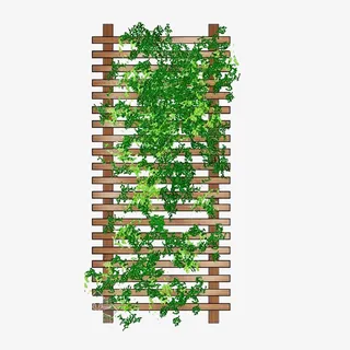 木架上的绿植免抠