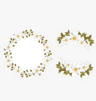 矢量菊花花环免抠