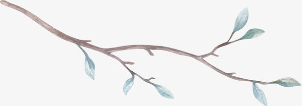 漂浮树枝免抠