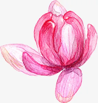 手绘粉色荷花花苞免抠