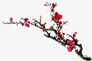 水墨桃花免扣透明png高清图片免抠