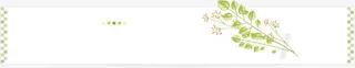 绿叶文本框免抠