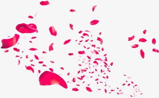 场景唯美花瓣植物漂浮效果免抠