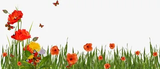 花卉图片素材花草矢量图素材免抠