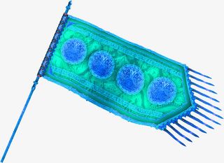 中国风蓝色招聘展架免抠