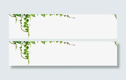 春天绿叶手绘藤蔓免抠