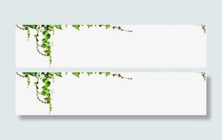 春天绿叶手绘藤蔓免抠