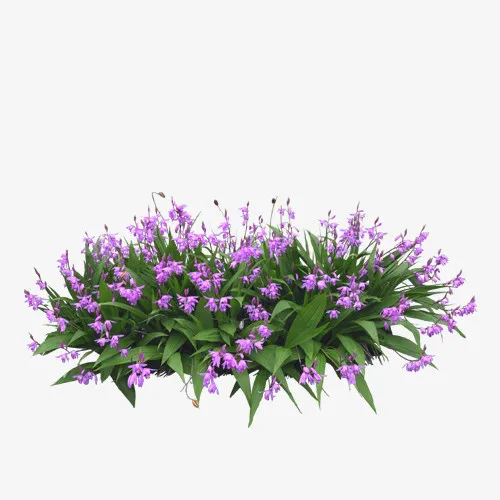 花免抠