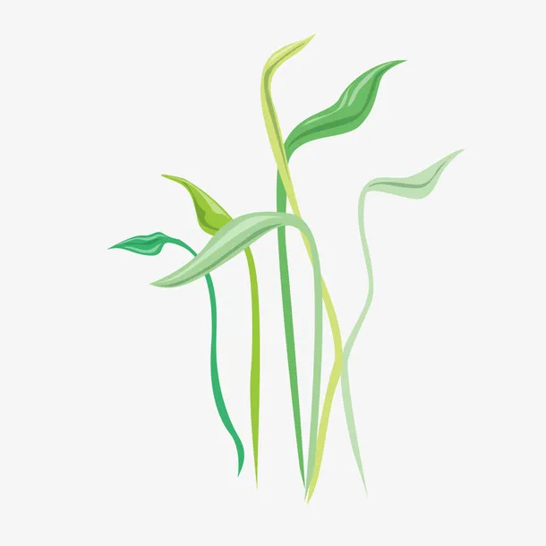 青草的春天免抠