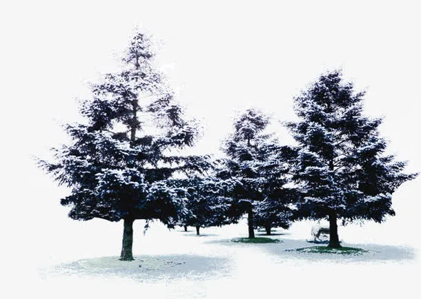 唯美的雪景免抠