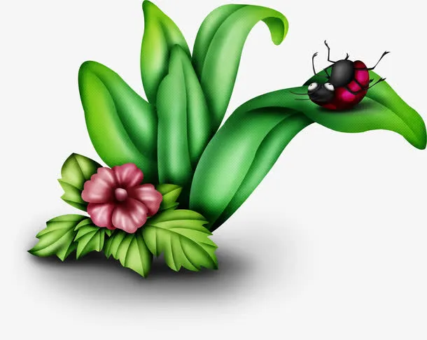 卡通花叶上的瓢虫免抠