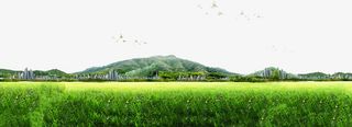 青山草地免抠
