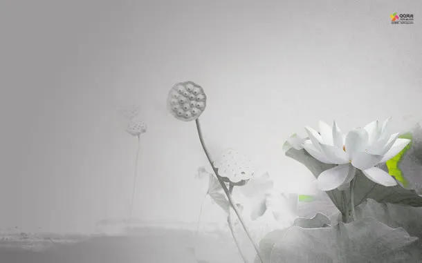 白色荷花唯美时尚免抠