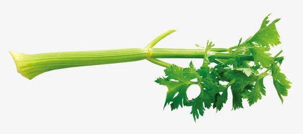 绿色蔬菜免抠