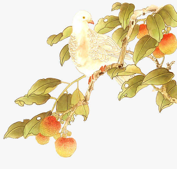 中式工笔画手绘花鸟素材免抠
