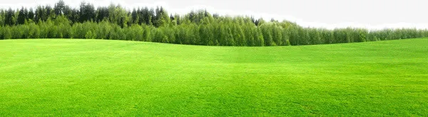 草原草地元素免抠