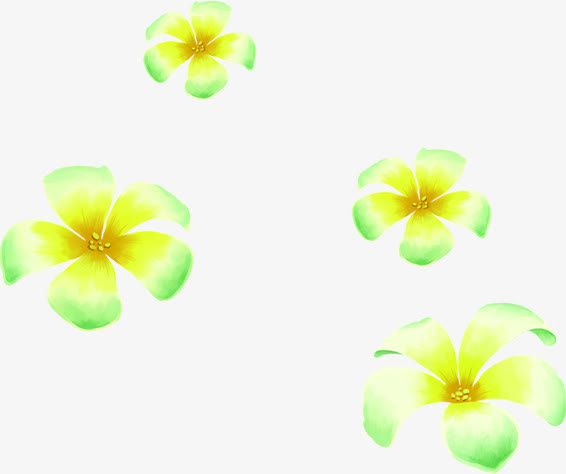 春天黄绿色手绘花朵免抠