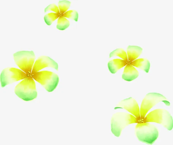 春天黄绿色手绘花朵免抠