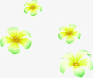 春天黄绿色手绘花朵免抠