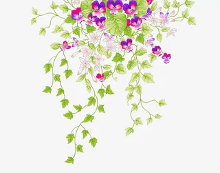 清新花朵藤蔓免抠