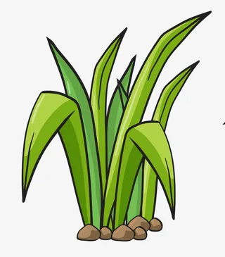 绿色的小草免抠