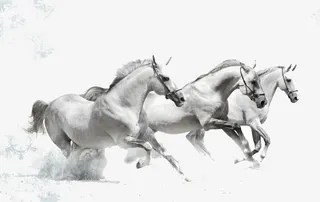 万马奔腾墨画免抠
