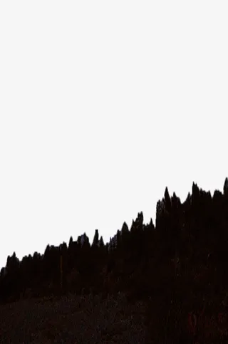 黑暗的树林免抠