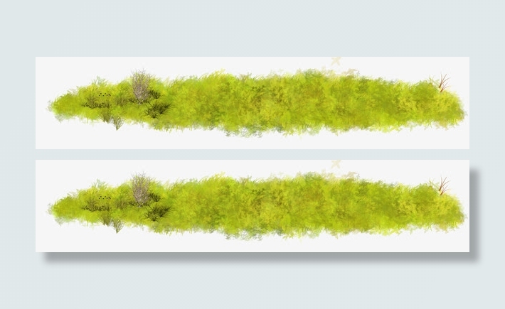 黄色植物高清唯美免扣素材模板免抠