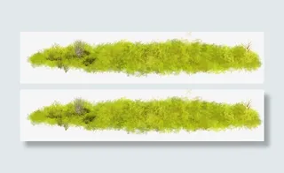 黄色植物高清唯美免扣素材模板免抠