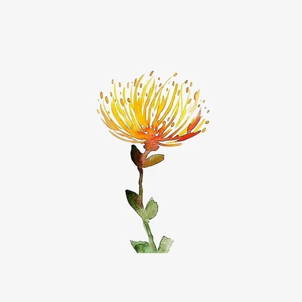 矢量金银花水彩画免抠