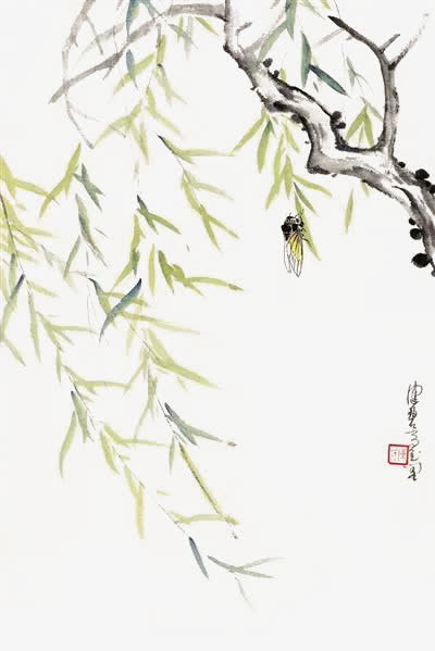 蝉鸣垂柳免抠