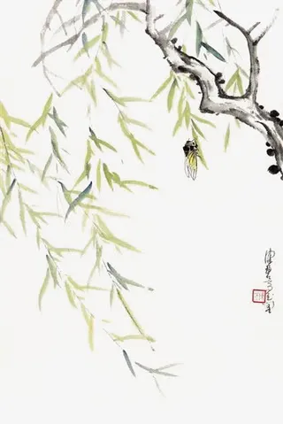 蝉鸣垂柳免抠