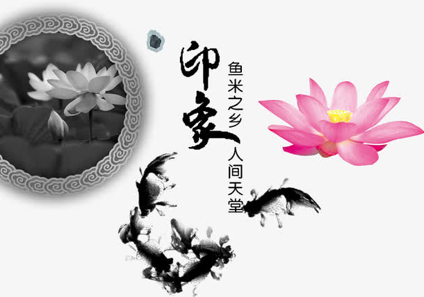 鱼米之乡免抠