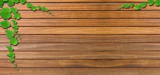 绿叶绿色藤蔓木板背景