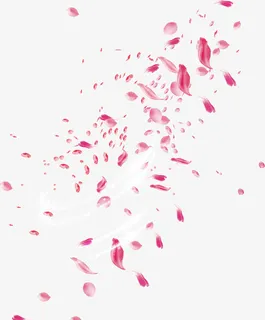 飘洒的玫瑰花瓣免抠漂浮花瓣元素