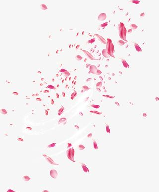 飘洒的玫瑰花瓣免抠漂浮花瓣元素