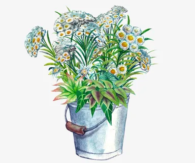 手绘花朵花束免抠