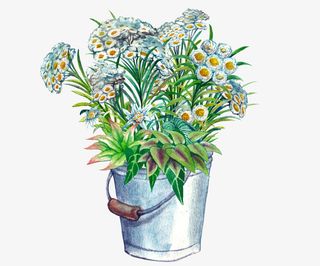 手绘花朵花束免抠