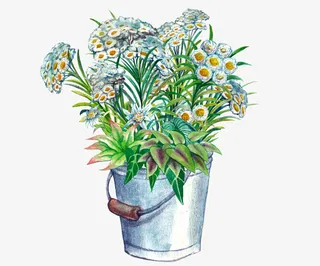 手绘花朵花束免抠