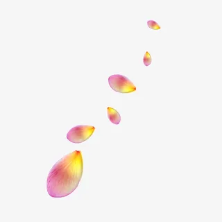 飘浮花瓣免抠