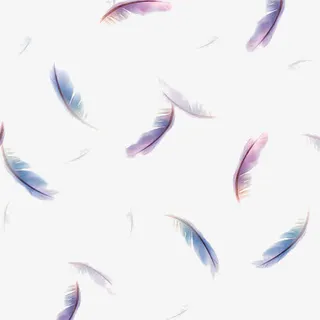 天空飞舞彩色羽毛免抠漂浮其他元素