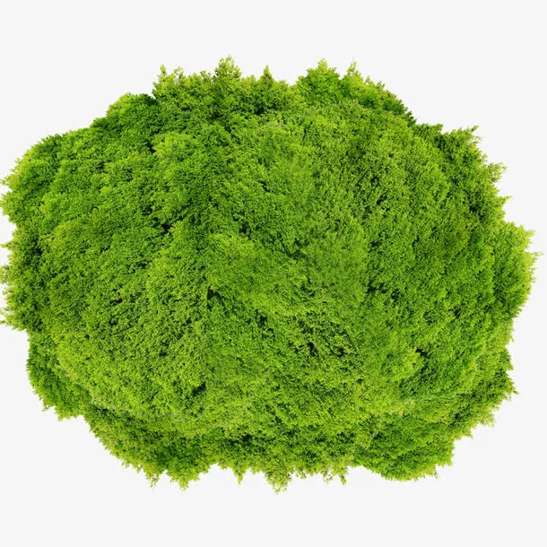 草地免抠