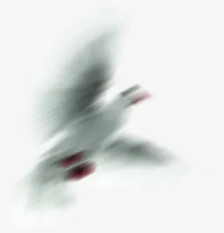 水墨画喜鹊素材免抠