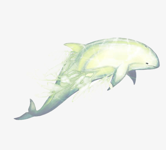 绿色海豚免抠