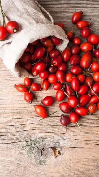 圣女果麻袋H5背景高清