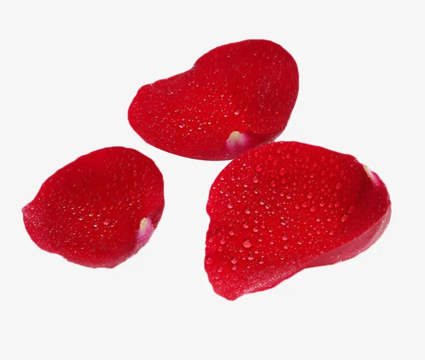 红色玫瑰花瓣免抠