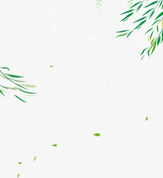 春季绿色柳树叶子免抠