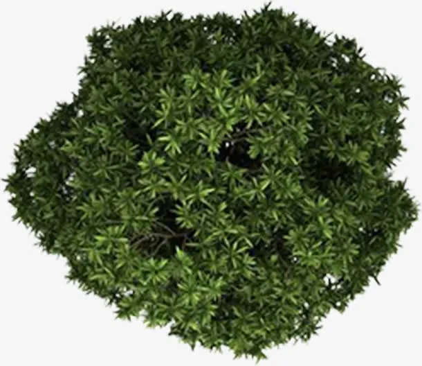 创意合成俯视角度大树树木免抠