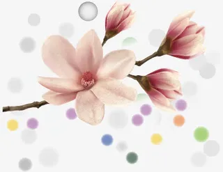 粉色唯美花枝免抠