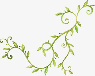 手绘花藤免抠